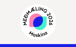 12 fyrirtæki hljóta Meðmælingu Maskínu 2026