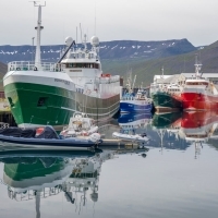 Auglýsingar SFS féllu í heldur grýttan jarðveg