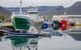 Auglýsingar SFS féllu í heldur grýttan jarðveg